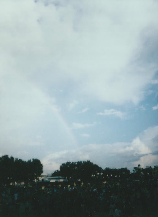 instant picture from my florida trip